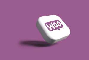 WordPress WooCommerce WordPress WooCommerce